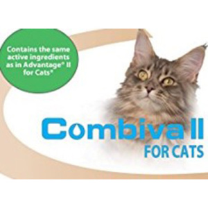 combiva-cats-box