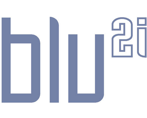 TDK-blu2i-Logo