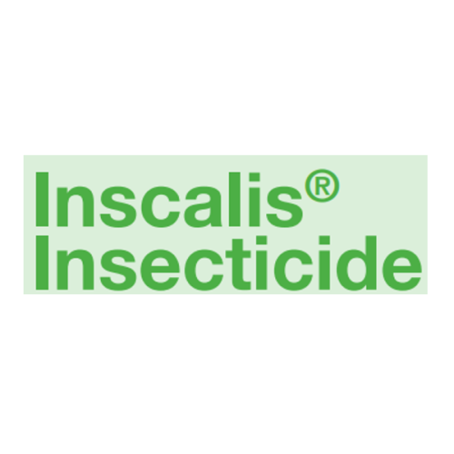 BASF-Inscalis-origin-branding