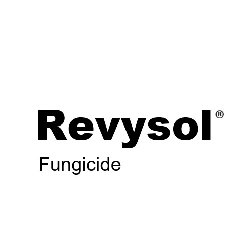 BASF-Revysol-origin-branding
